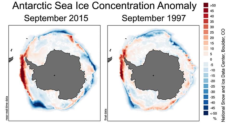Die Abbildungen vergleichen die antarktische Meereiskonzentration für September in zwei starken El Niño Jahren (2015, links; 1997, rechts), die Jahre 1981 bis 2010 dienen als Durchschnitt. Die Farben zeigen die prozentualen Abweichungen vom Mittelwert der Meereiskonzentration in der Antarktis. Orange und Rottönt zeigen Konzentrationen höher als der Durchschnitt, Grün- und Blautönen zeigen Konzentration niedriger als der Durchschnitt an. Abbildung: National Snow and Ice Data Center