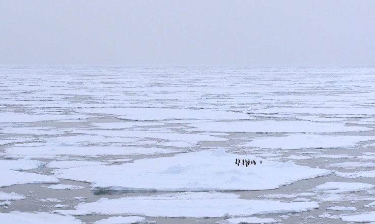 Das Packeis hält Antarktika während der Wintermonate fest im Griff und die klimatischen und