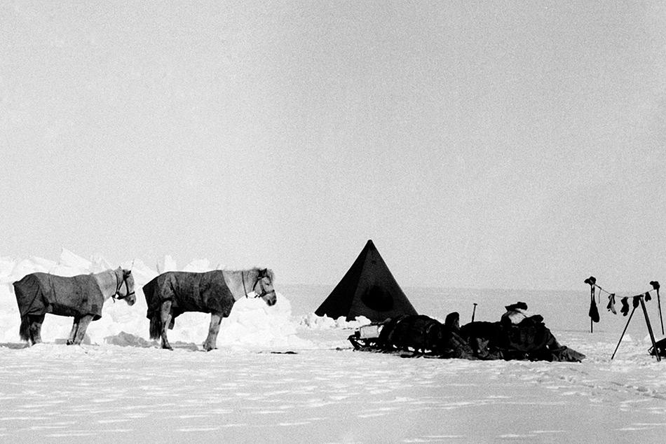 WÃ¤hrend Amundsen vollumfÃ¤nglich auf Skis und Hunde setzte, war Scott davon Ã¼berzeugt, Motoschlitten und Ponys einsetzen zu wollen. Dies stellte sich als grosser Fehler heraus.