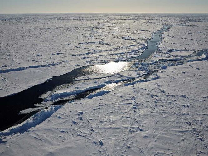 Arktisches Meereis im April 2020 Foto: Alfred-Wegener-Institut / Michael Gutsche