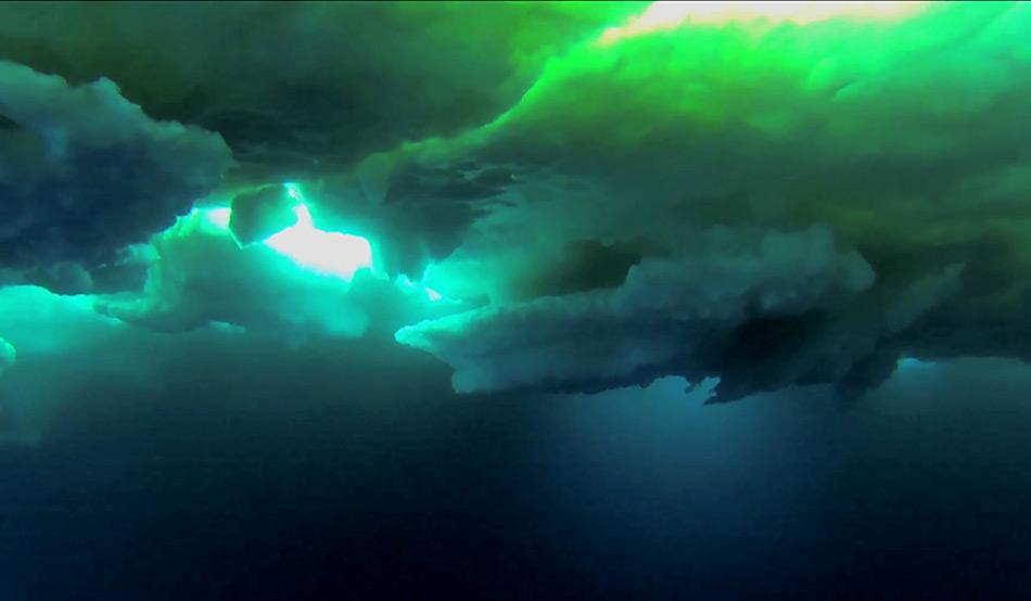 Unter dem Meereisdeckel der Ã¶stlichen Arktis kÃ¶nnten mehr als neun Milliarden Polardorsche leben. Foto: AWI