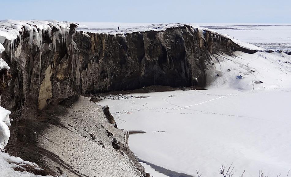 Blick auf die 35 Meter hohe und 680 Meter lange Steilwand (Permafrost-Aufschluss) am Itkillit River im Norden Alaskas. Foto: AWI, Jens Strauss