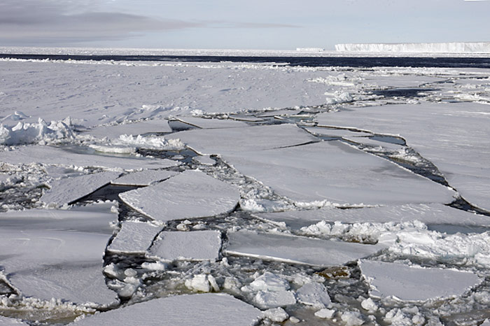 PolarNEWS_Kaiserpinguine_Snowhill_005