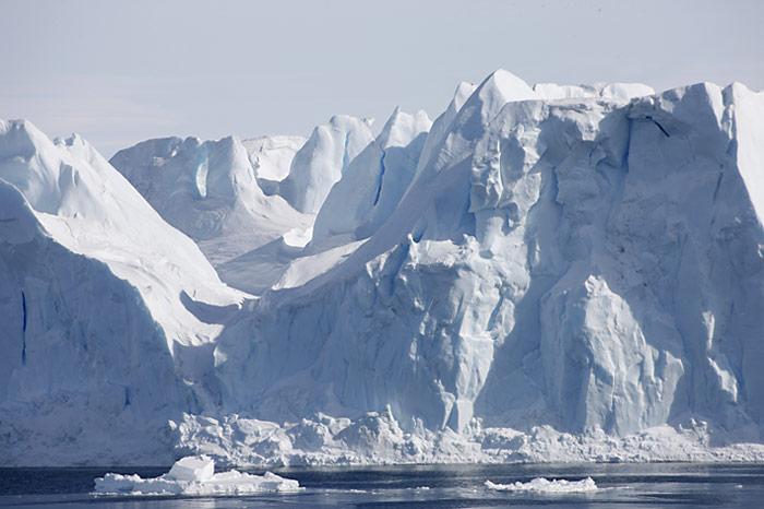 PolarNEWS_Kaiserpinguine_Snowhill_009