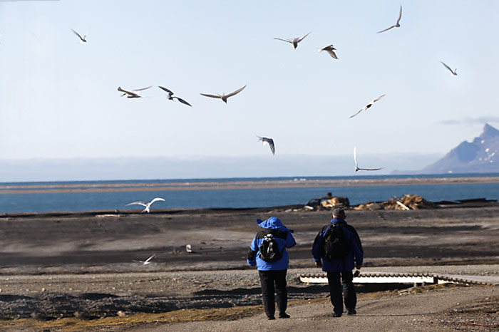 023_spitzbergen_2010