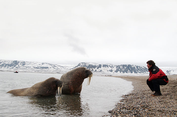 041_spitzbergen_2010