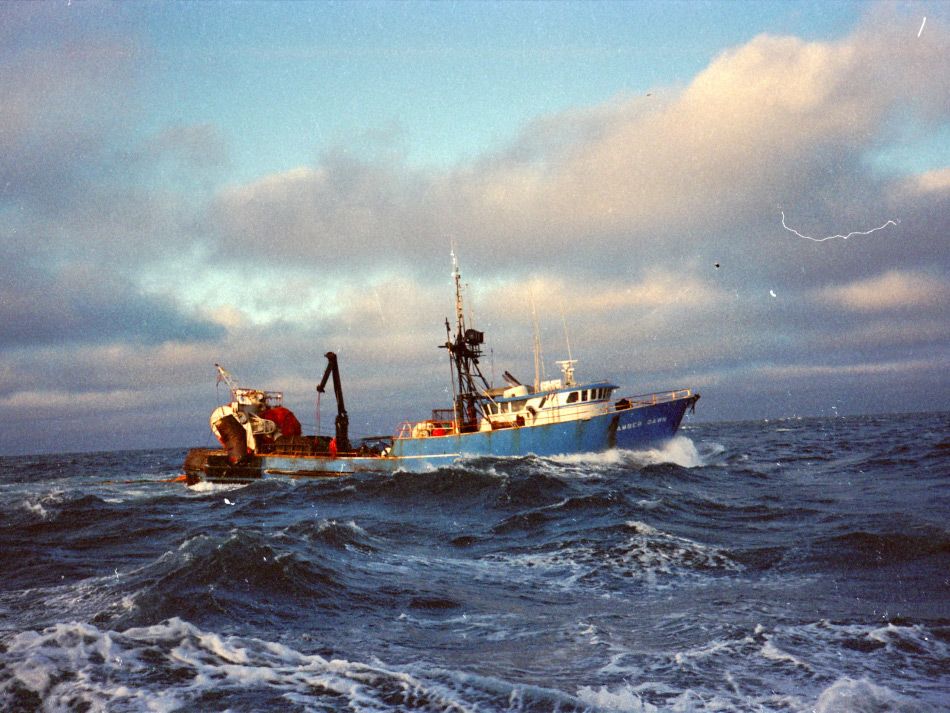 Fischereistop im Arktischen Ozean von Anrainerstaaten gefordert