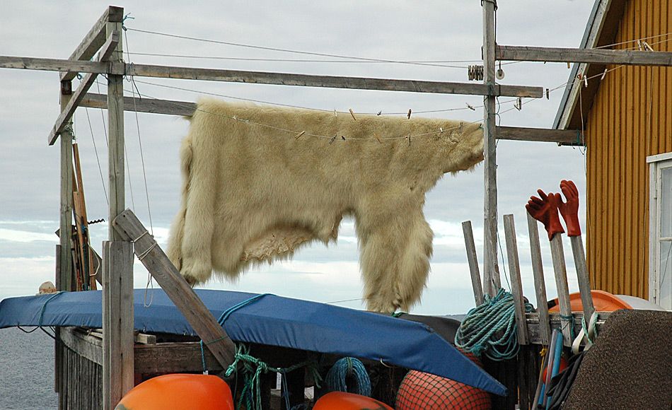 Weitreichende Veränderungen helfen arktischen Gemeinden gegen den Klimawandel