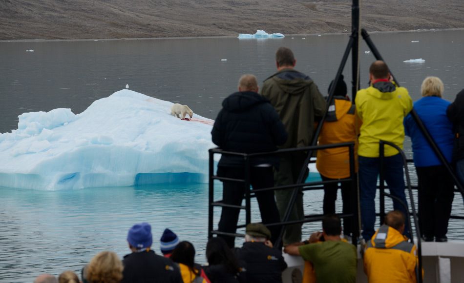 AECO und IAATO fördern verantwortungsbewussten Polartourismus