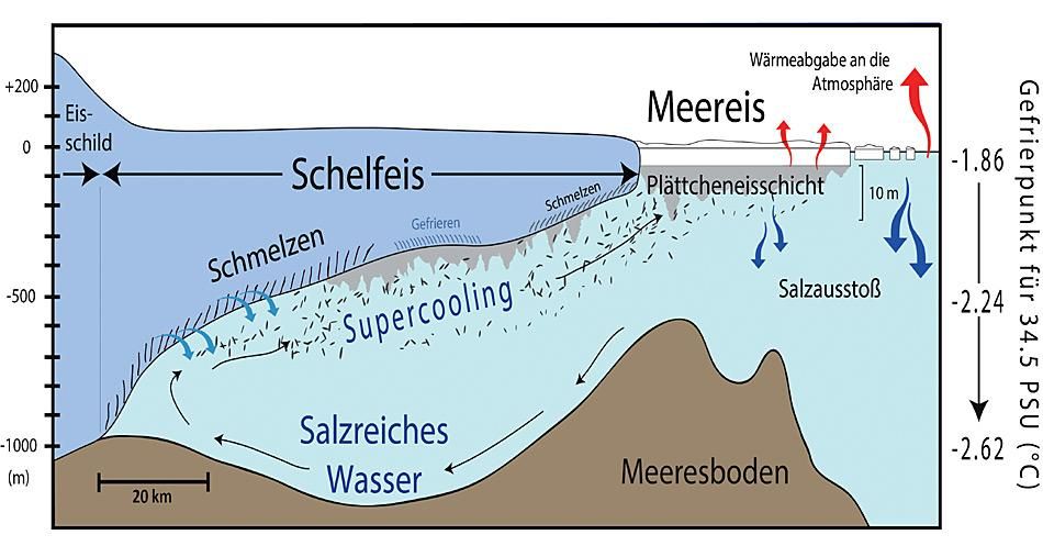 Meterdicker Eiscocktail unter dem Meereis der Antarktis